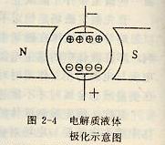 电解质液体极化示意图